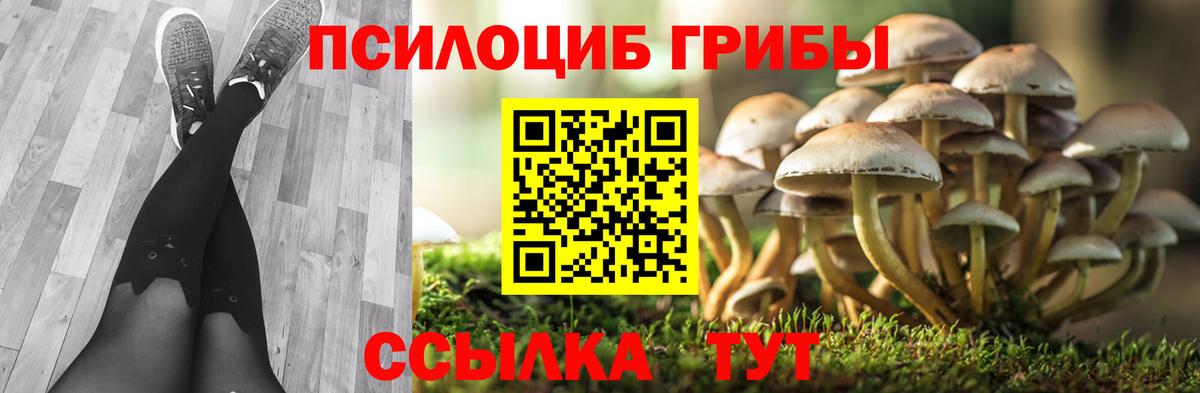 Псилоцибиновые грибы ЛСД Курчалой